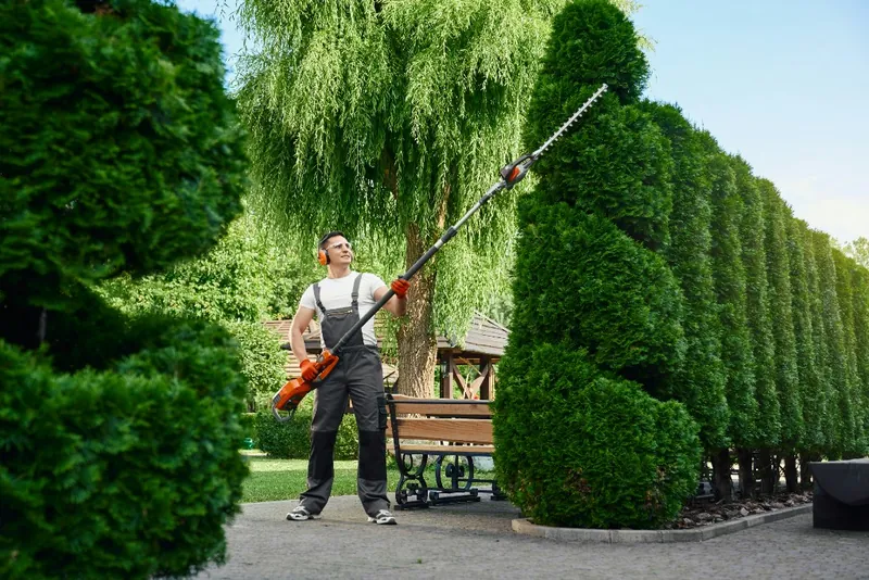 Gardener using an electric trimmer to shape an overgrown hedge in a backyard